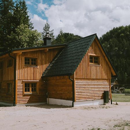 Naturparkresort S'Keuscherl Wildalpen Eksteriør bilde